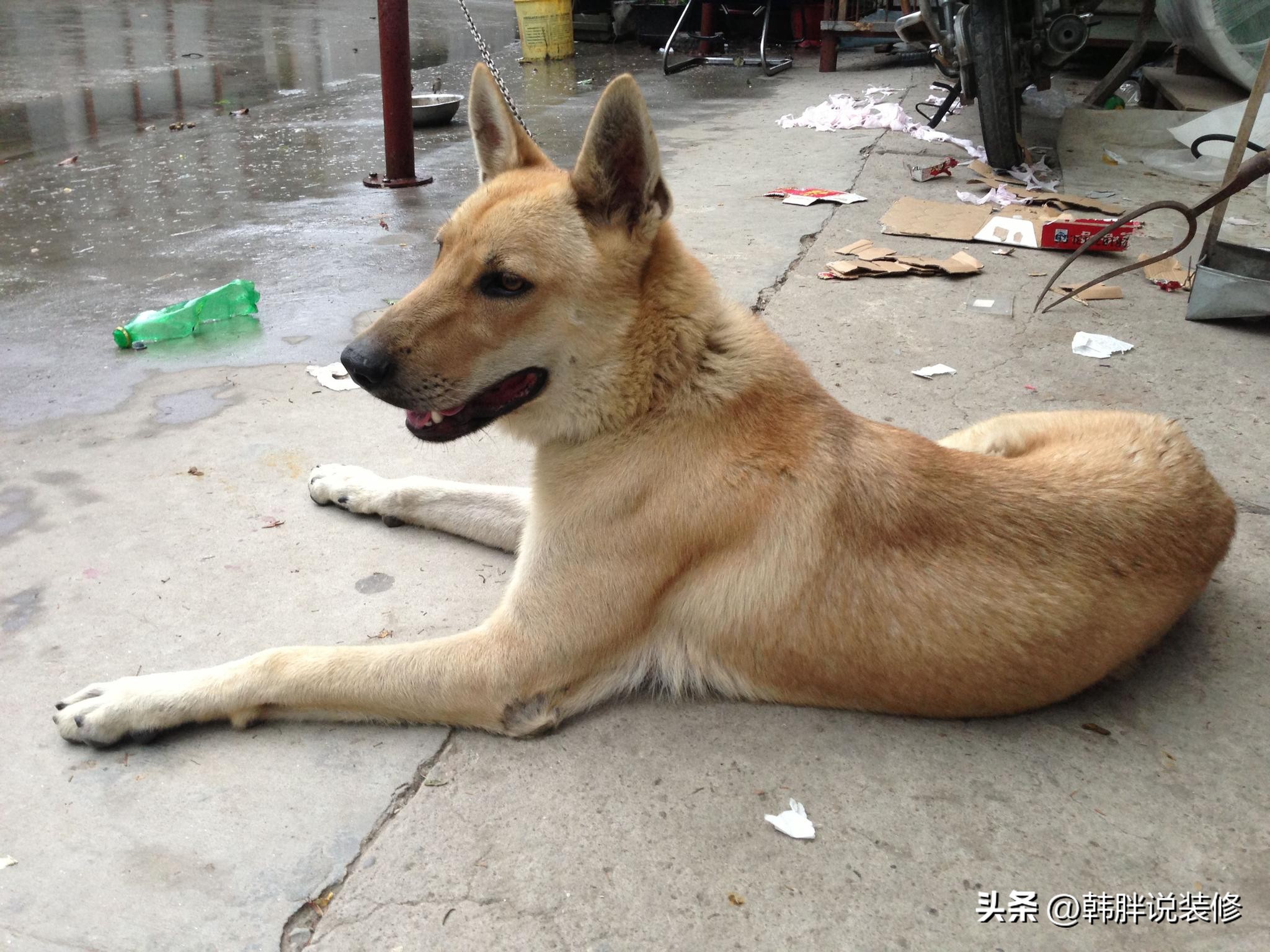 常言道：“家中现5物，十有九个富”，5物具体指什么？你家有吗？