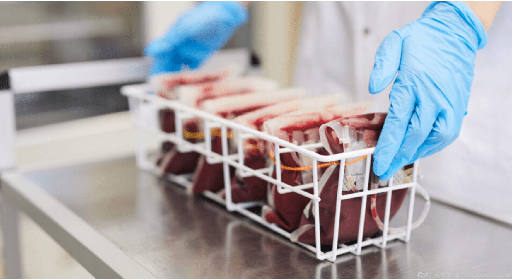 最稀有的血型竟然不是熊猫血,最稀有的血型排名熊猫血