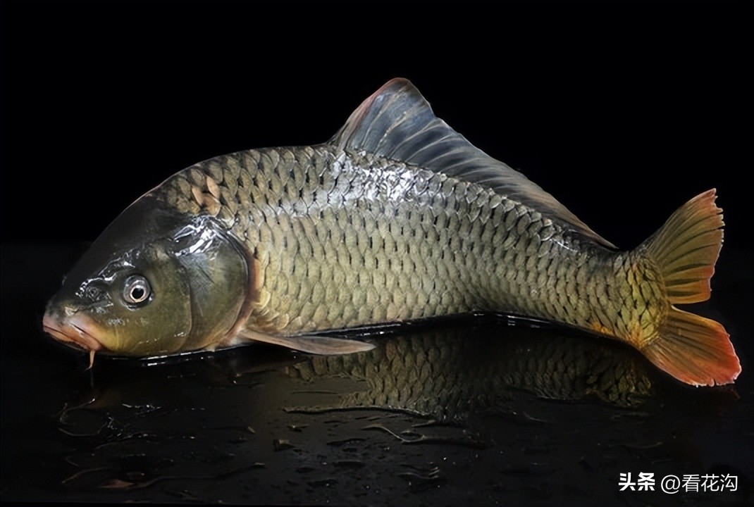 河南省漯河市舞阳县介绍视频,舞阳2007年照片