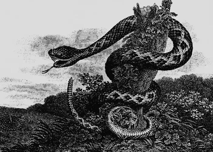 民间故事：财主闯进房内，见女子洗澡将其玷污，女子吓得变成狐狸