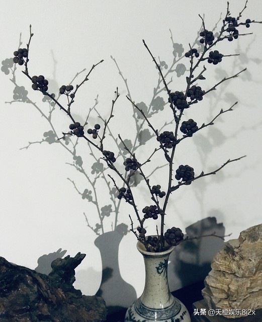 农村合作医疗费用年年涨,农村合作医疗年年涨还是不交好