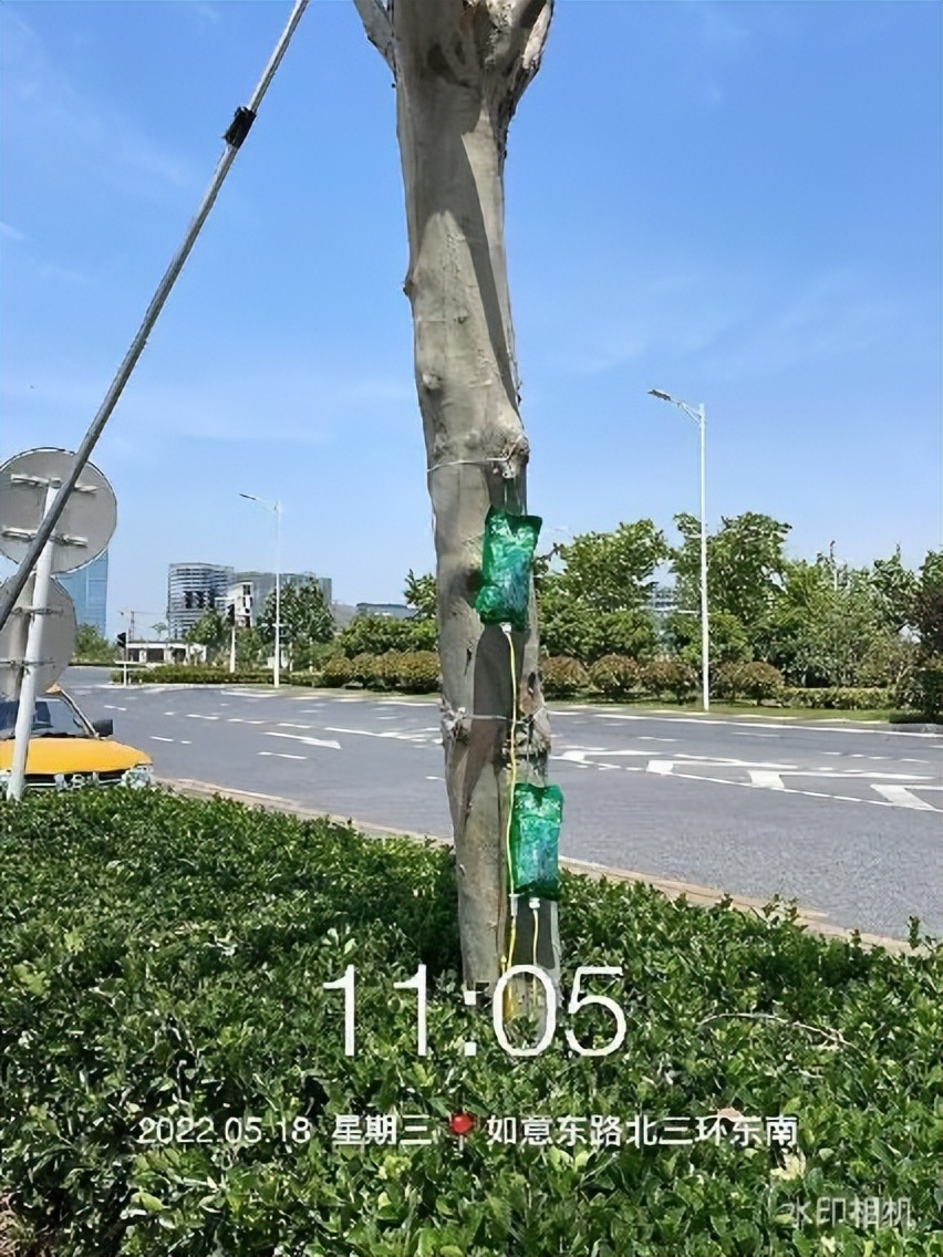 12月份园林绿化养护工作重点,元月份园林养护重点工作