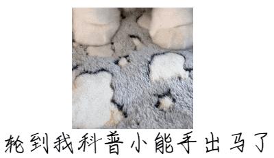 专家称蒙脱石散非止泻首选,医生称蒙脱石散并非治腹泻首选