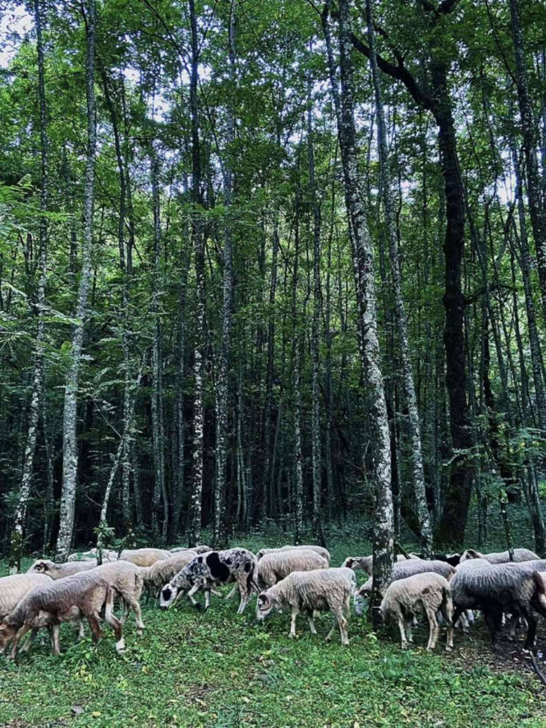 德昌的好地方,德昌有哪些值得去的