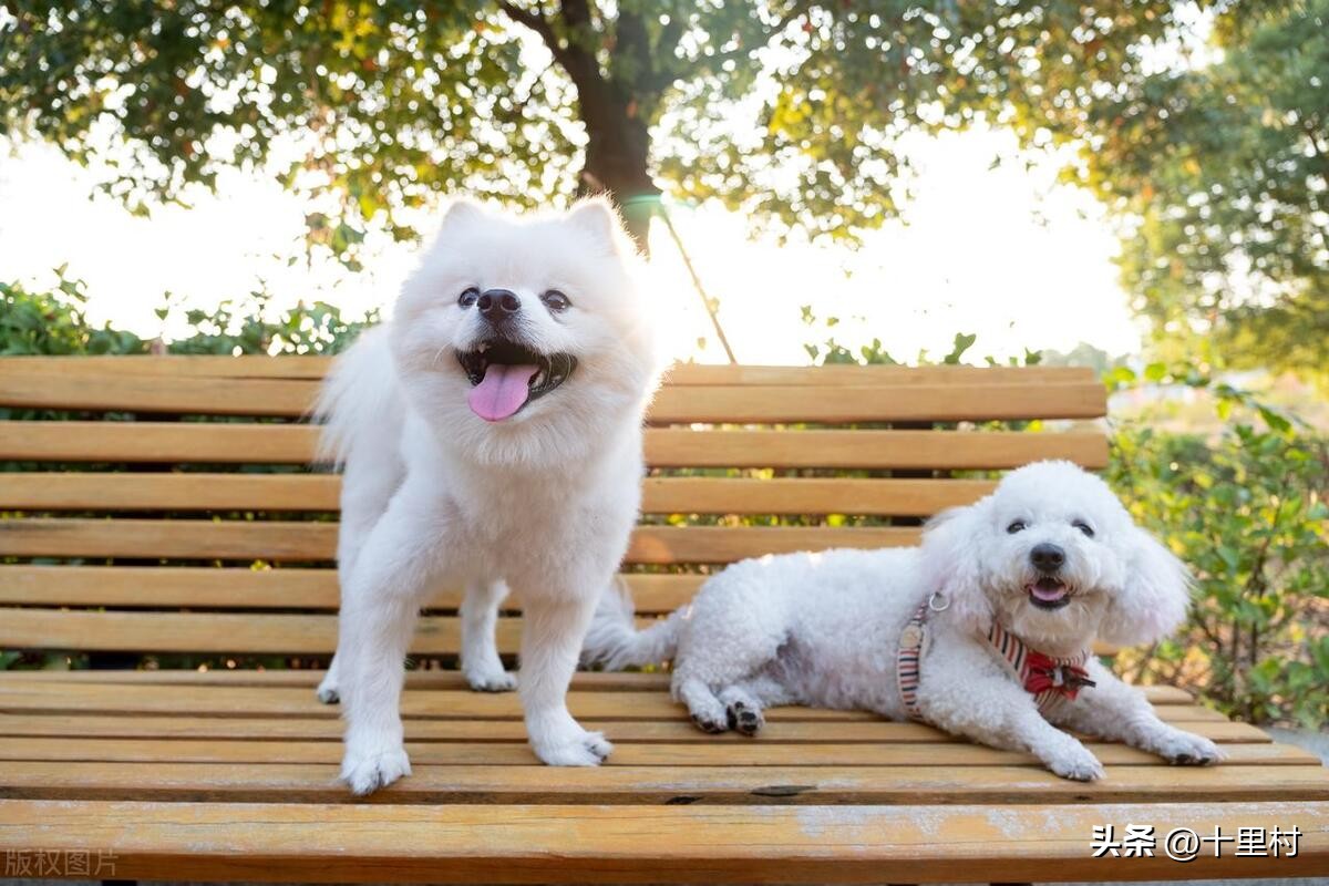 蓝海市场怎么样赚钱,在蓝海市场怎么赚钱