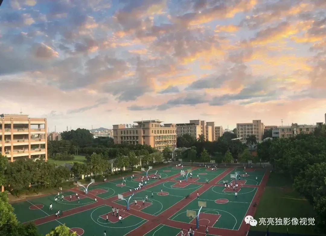 粤港澳湾区四所世界百强大学,广外国际学校值得读吗