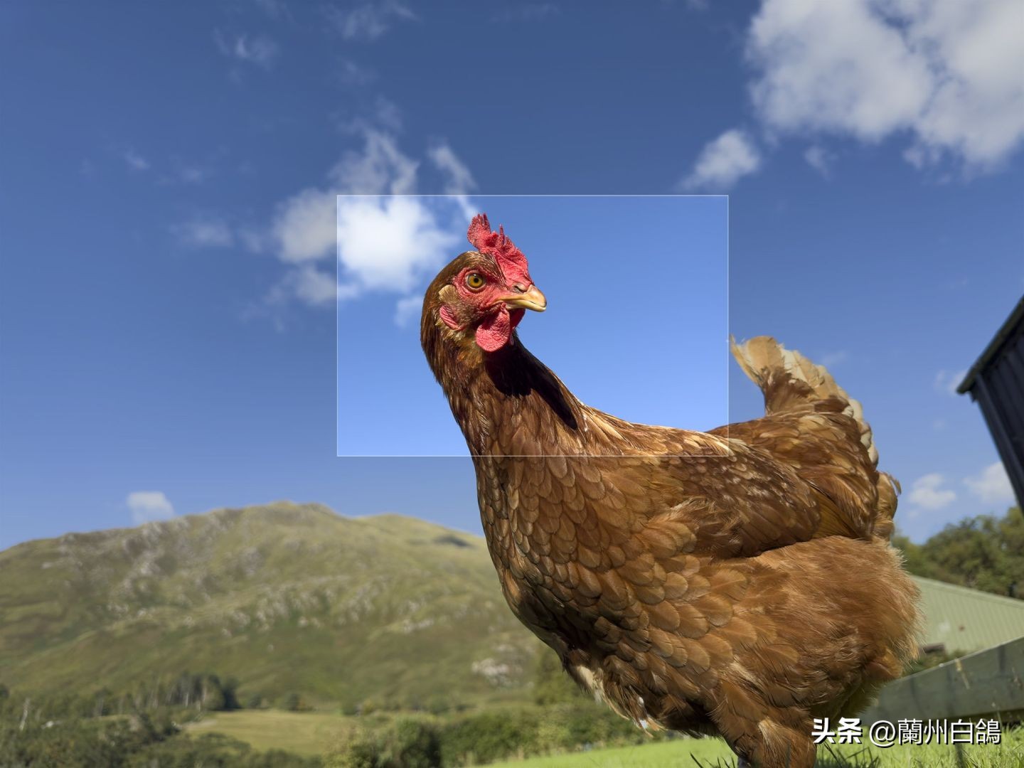 iphone14promax1tb暗紫色开箱测评,iphone14promax史低多少