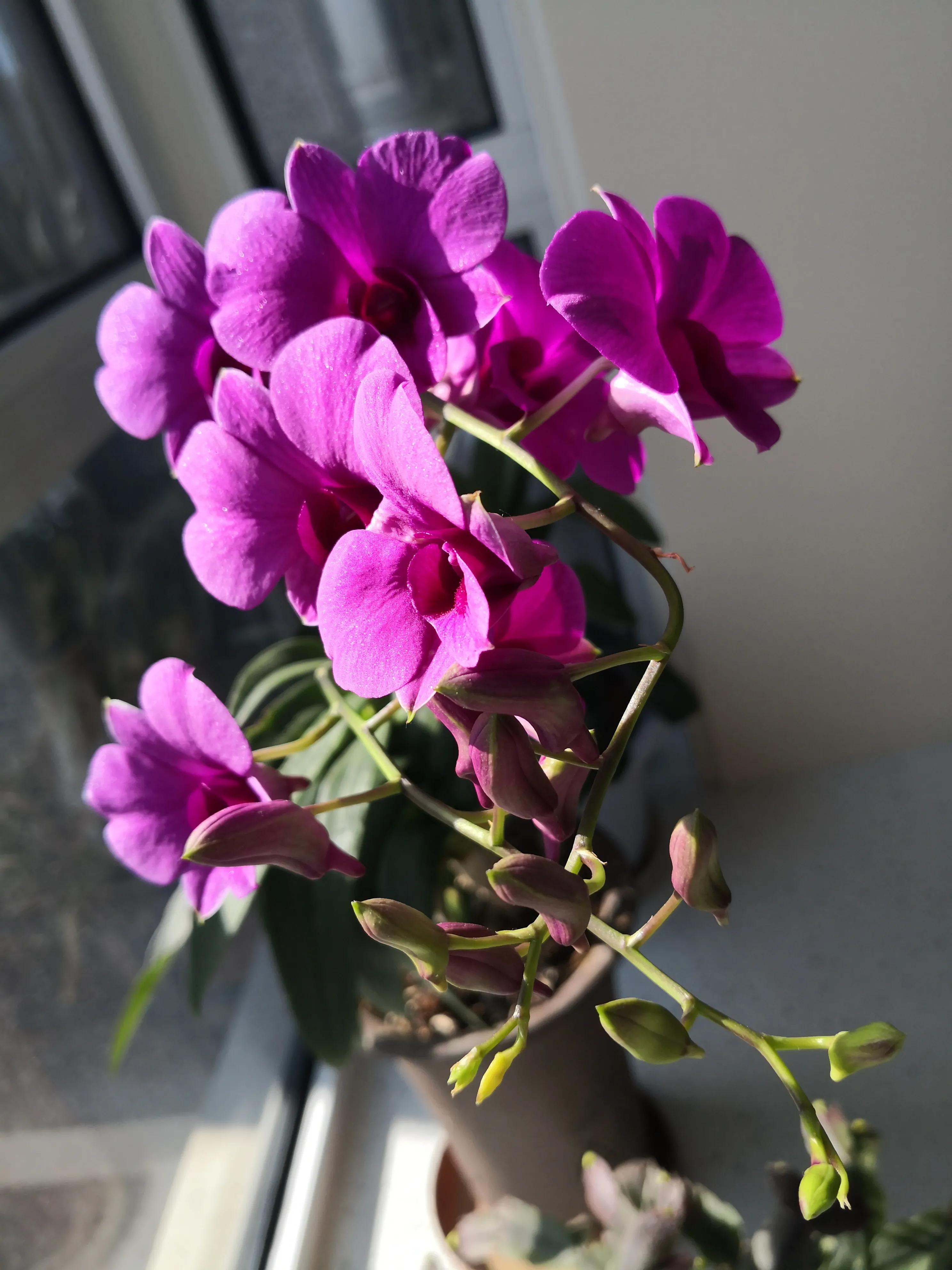 中国足球切合实际,中国足球爆料计划