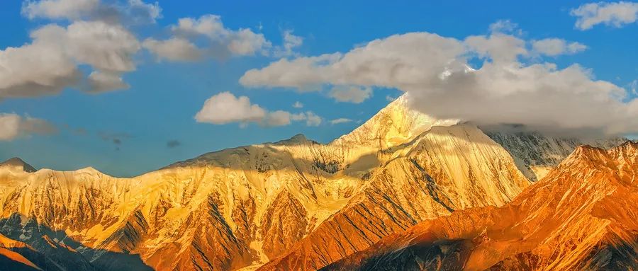 奇正藏药的前景,奇正藏药高管最新消息