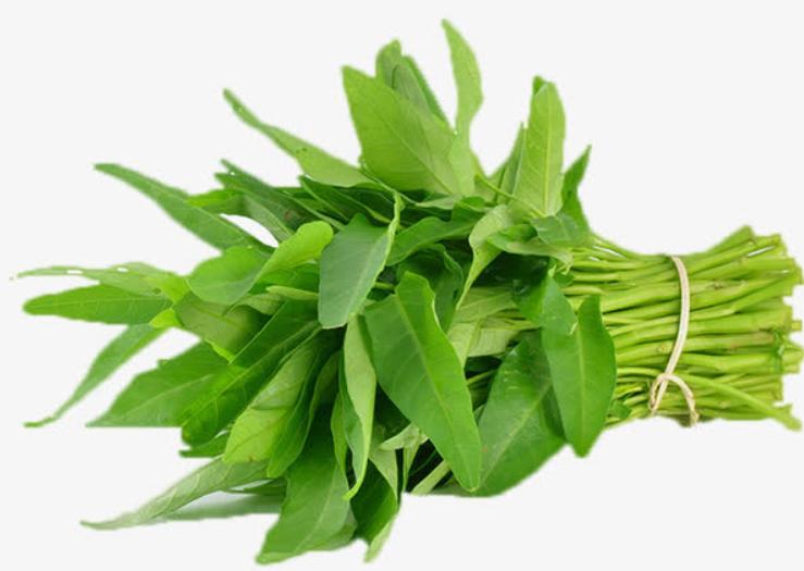 夏天祛湿气最好的水果蔬菜,三伏天吃什么菜最佳祛湿气