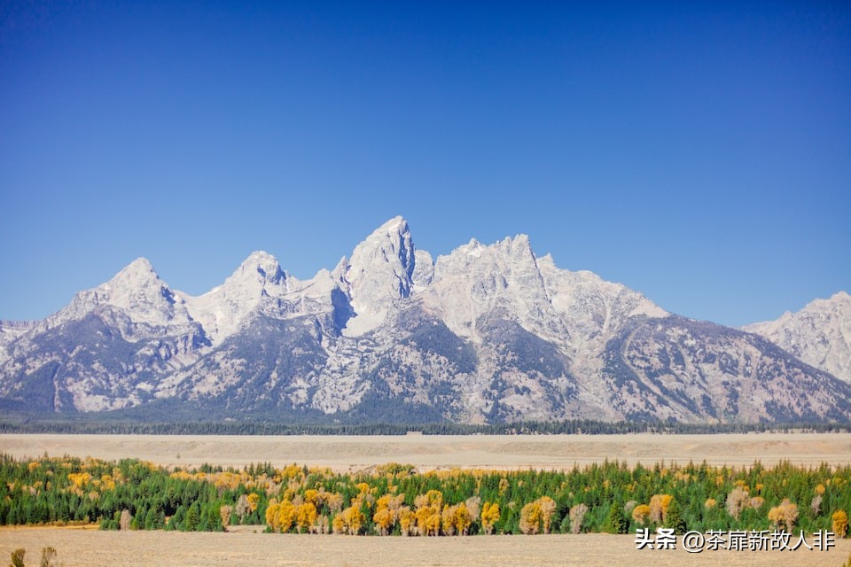 正规搬家公司有哪些优势,搬家公司口碑好的是哪家