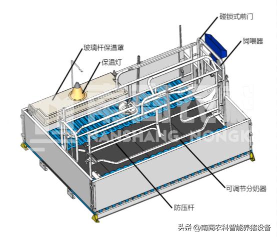 母猪产床制作详细图纸尺寸,单个母猪产床尺寸图片详细说明