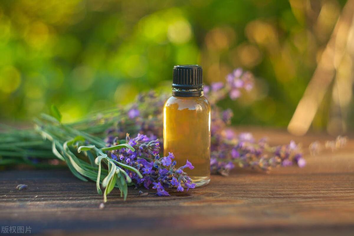 香味营销怎么盈利,香味营销手段