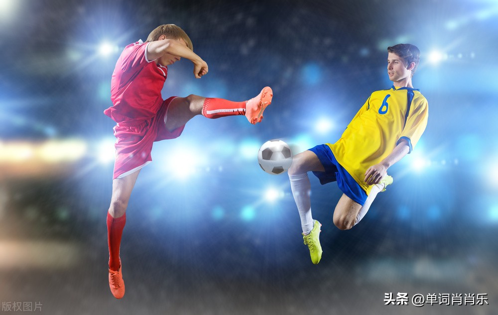 有言有味说什么,有言有味说单词读后感