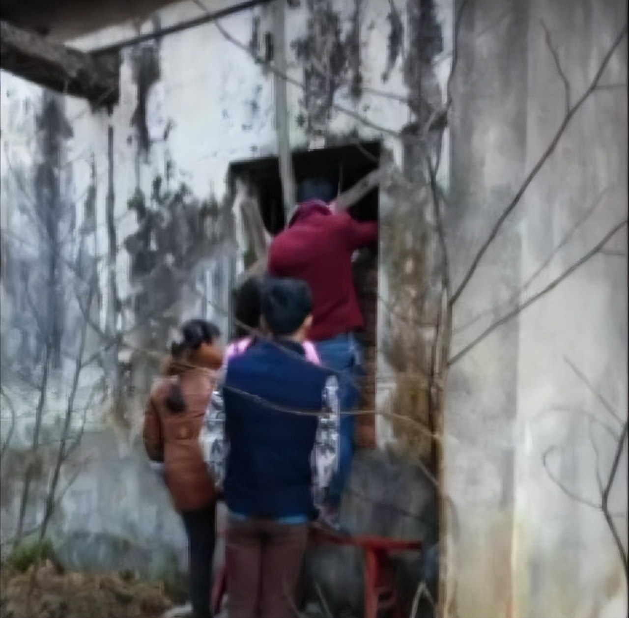 湖北校花被囚地窖5年,湖北校花被囚5年传奇故事