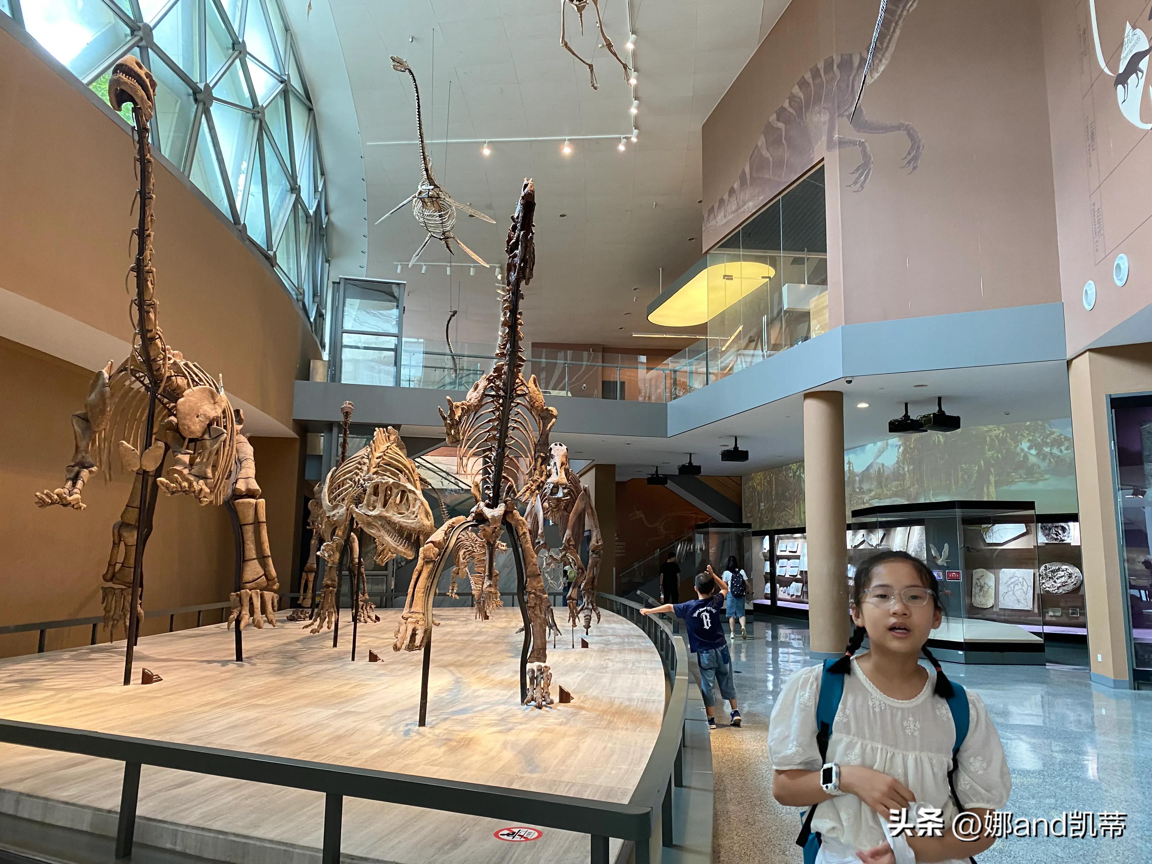 苏州高铁到上海自然博物馆攻略,最新苏州到上海自然博物馆怎么走