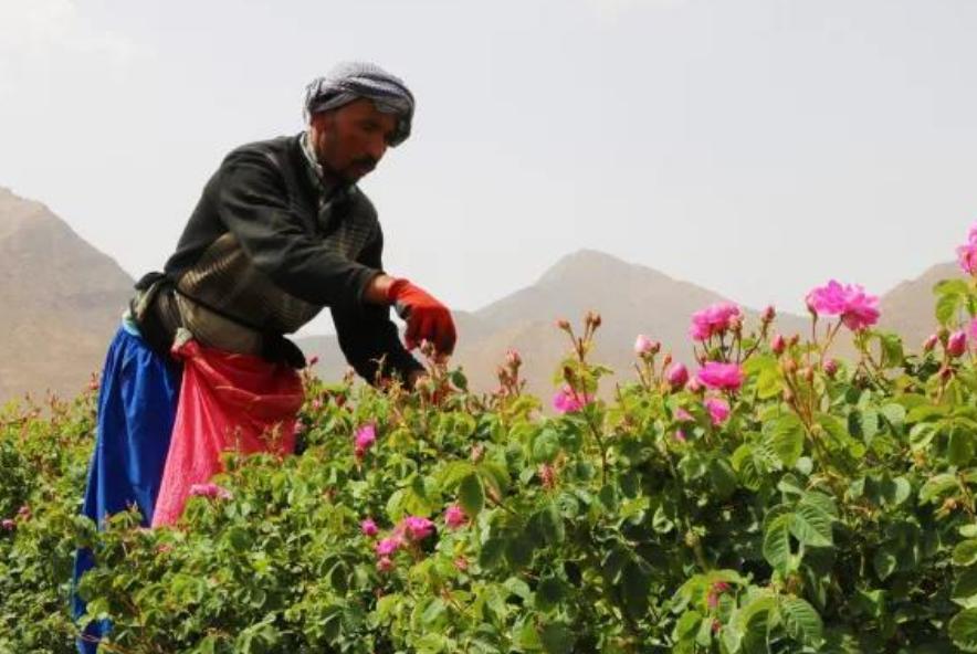 云南一小伙打工5年回家,云南小伙14岁创业18年