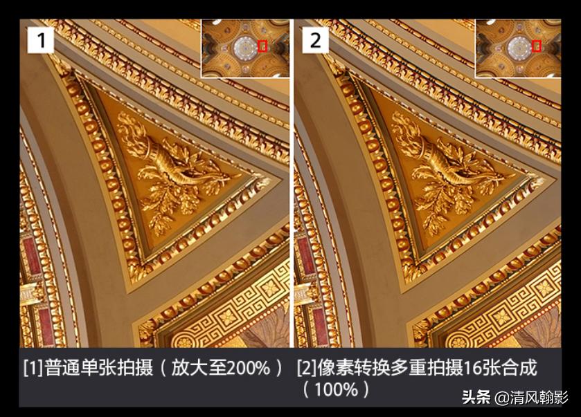 拍鸟什么微单相机合适,索尼a7r4深度拍摄感受