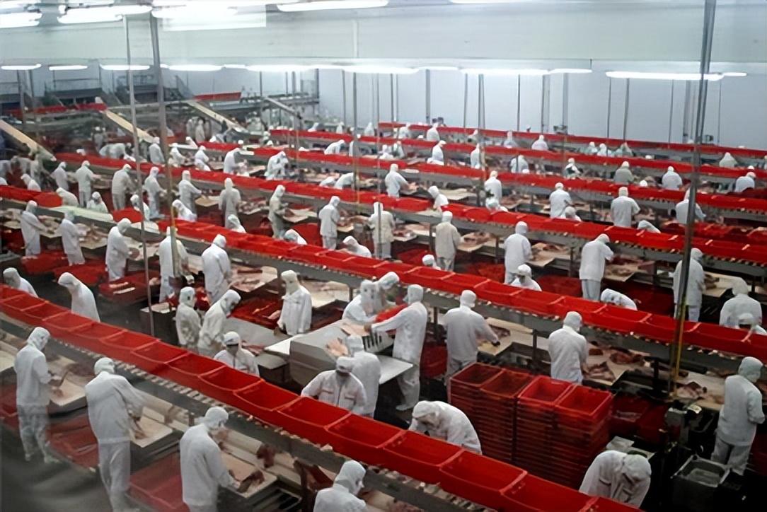 双汇翻车后，金锣又上热搜了！能不能让我们安心吃根火腿肠？