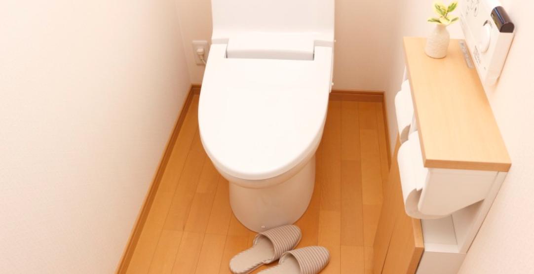 日本上完厕所的纸能丢进马桶吗,日本厕纸应该冲走还是放纸篓