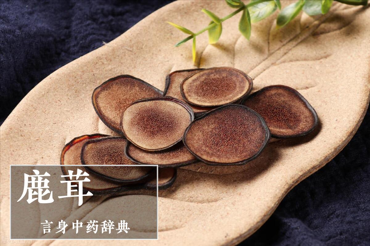 鹿茸补阳药,鹿茸补肾健脾补品