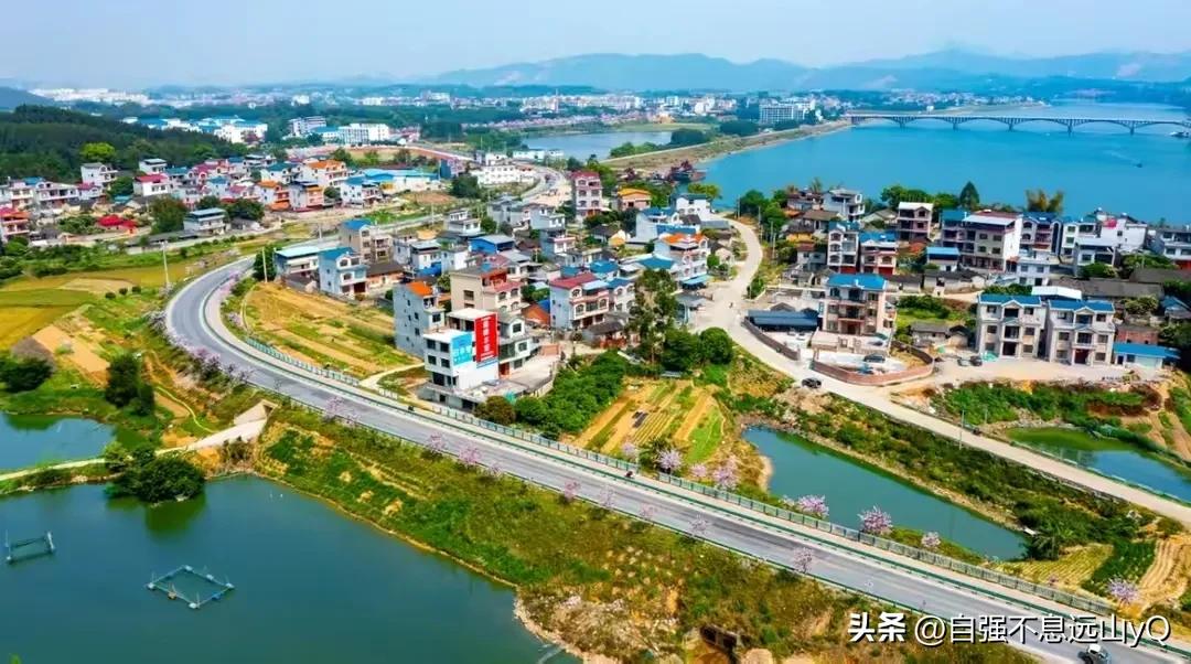 李铁足球生涯最大成就,李铁亚洲杯成绩