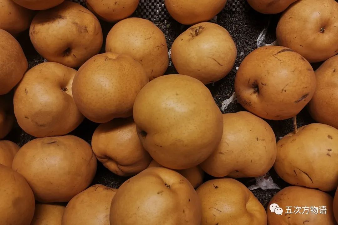 蔷薇科水果是什么,蔷薇亚科著名水果