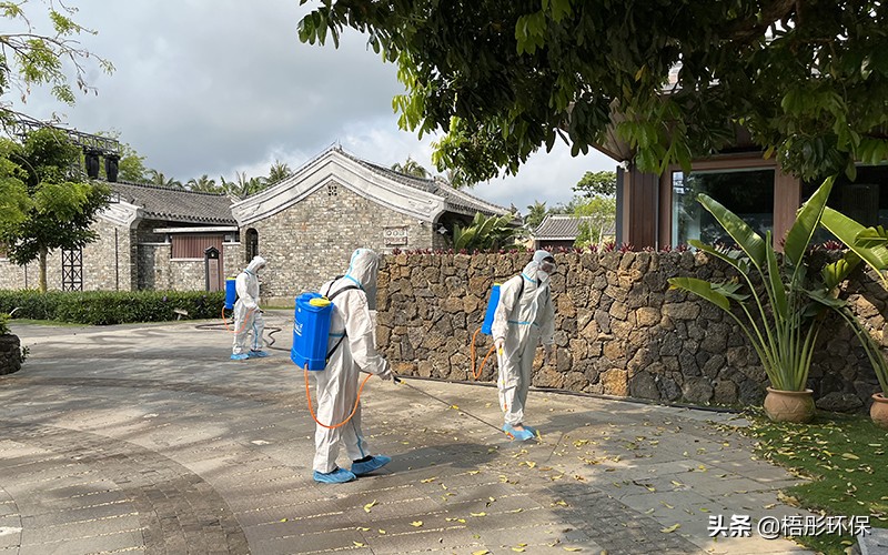 除蚊灭蟑各种方法,老城区猪场灭蚊蝇解决四害问题