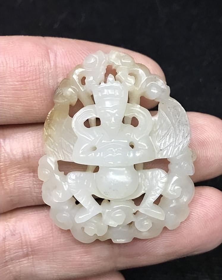 金翅鸟图像分析,金翅鸟视频大全