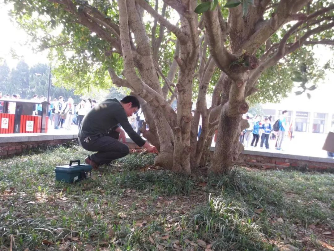 这些电话一定要收藏,10个免费电话