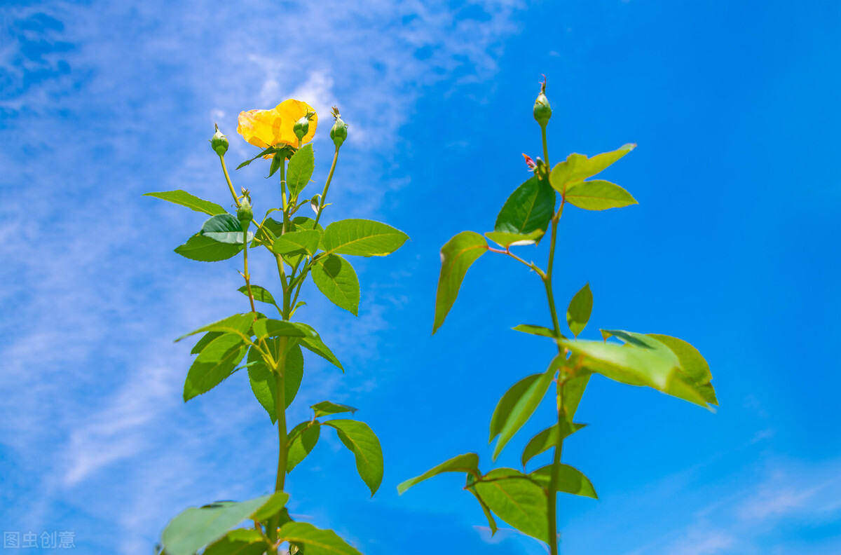 让自己开心的100种方法视频,六种让自己瞬间开心的方法