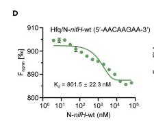 绿脓杆菌如何培养,绿脓杆菌做什么项目培养
