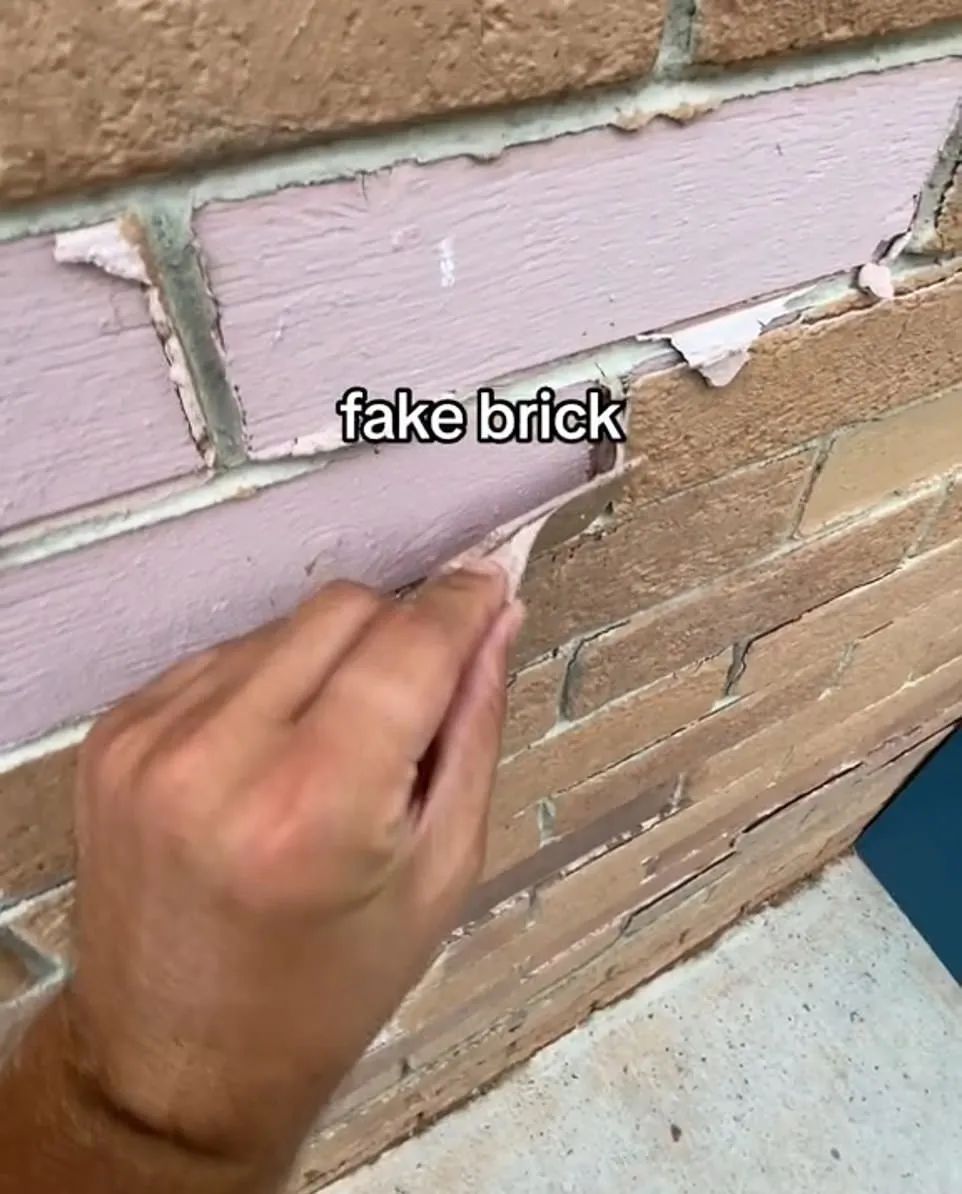 鍔犳嬁澶ф渶涓嶇湡瀹炵殑鍦版柟,鍔犳嬁澶ф槸涓緢缇庣殑鍦版柟