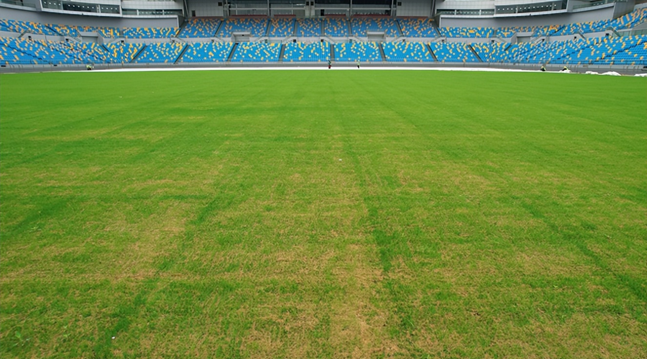 泰达足球场8月比赛,泰达足球场7月