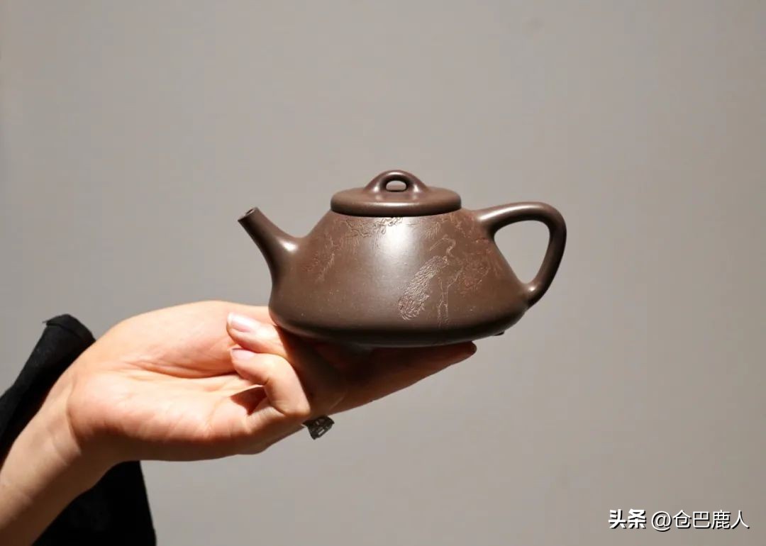 松树纹|何不种松树，使之摇清风