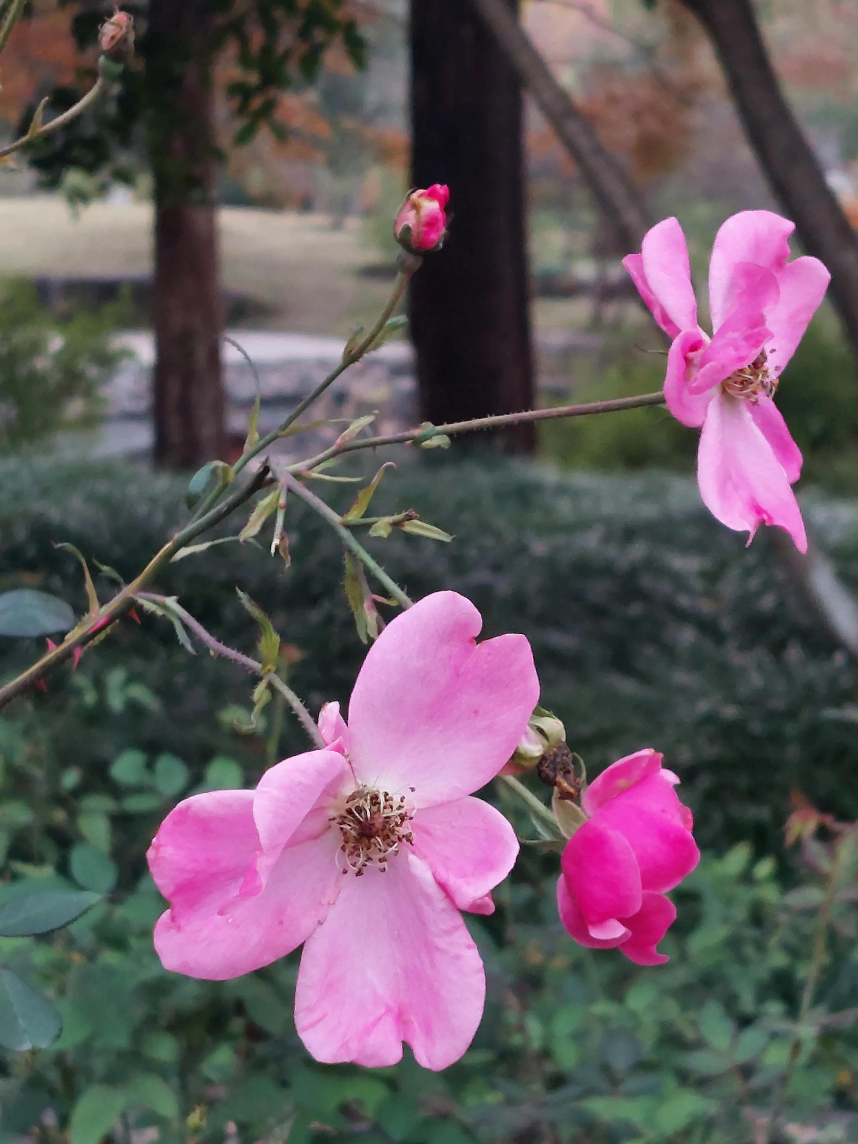 场上一分钟足球,足球一分钟最多进多少球