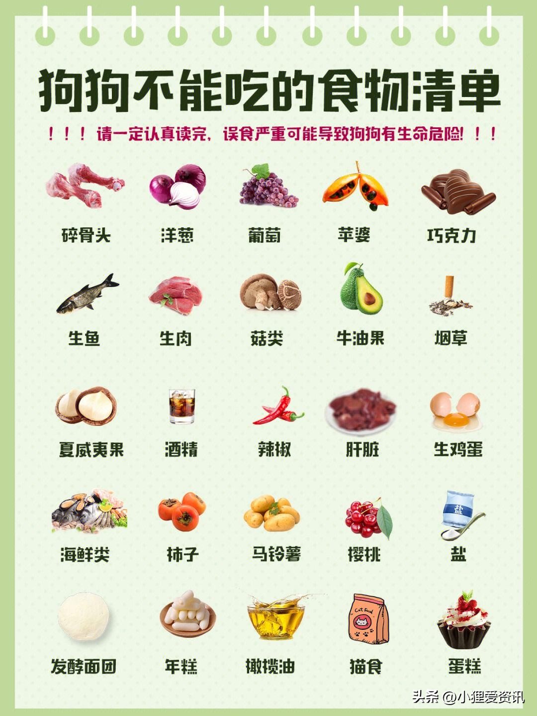 狗狗拉血怎么办最有效的方法,狗狗拉血呕吐的治疗最好方法