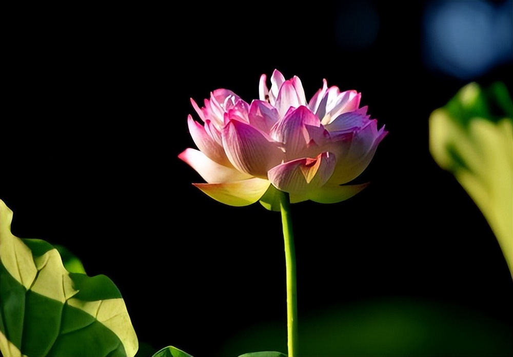 你的微信名早已暴露了你的一切,你的微信名暴露了你的性格