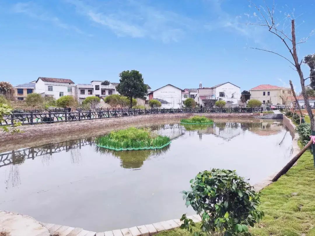 长沙县乡村游最佳去处,秋季长沙近郊自驾一日游