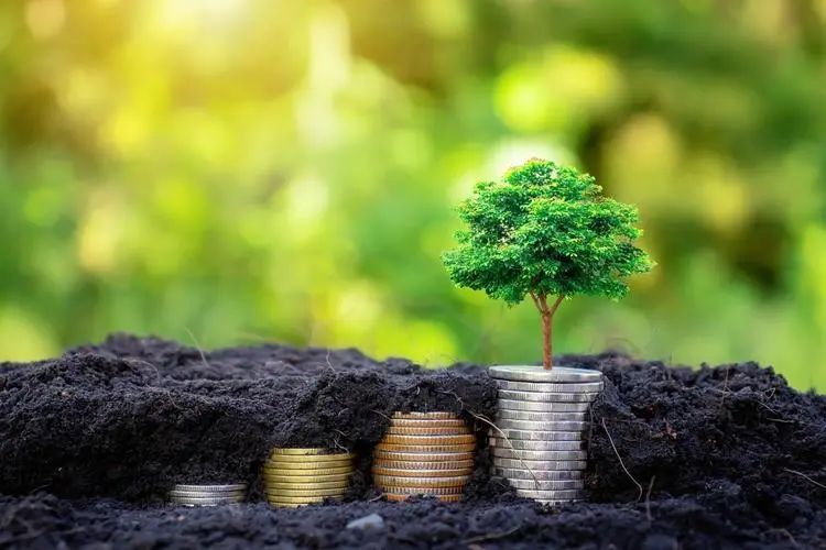 热点创业100个问题,热点分析营销