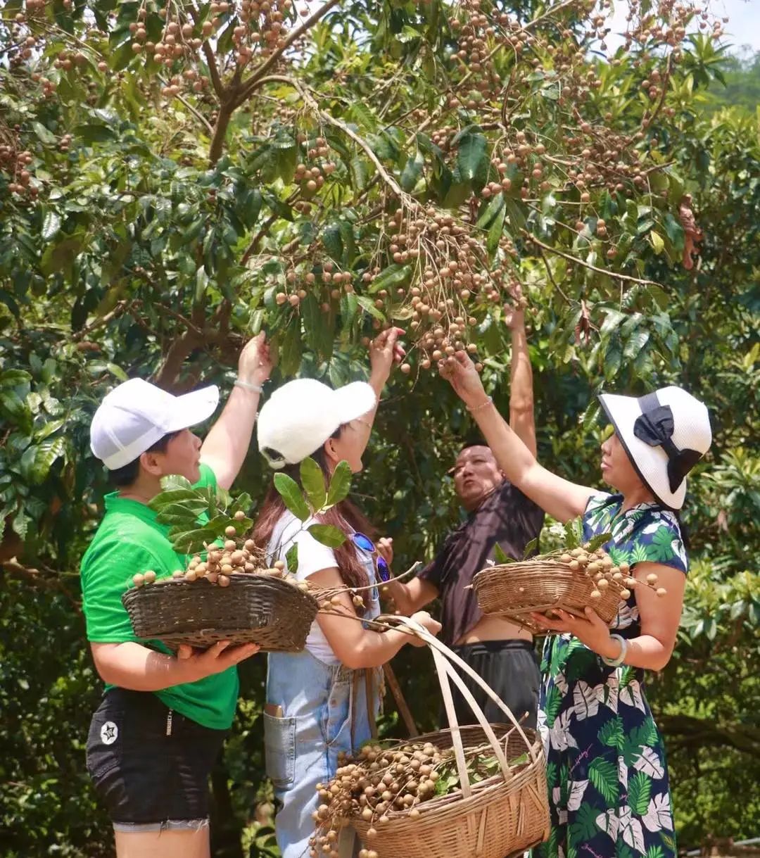 深山创业赚钱方法,深山老林创业项目