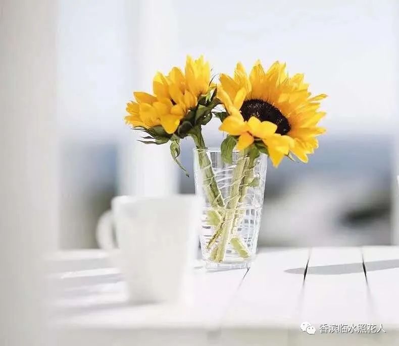 成长的滋味作文600字初二并列式,六年级作文成长的滋味600字记叙文