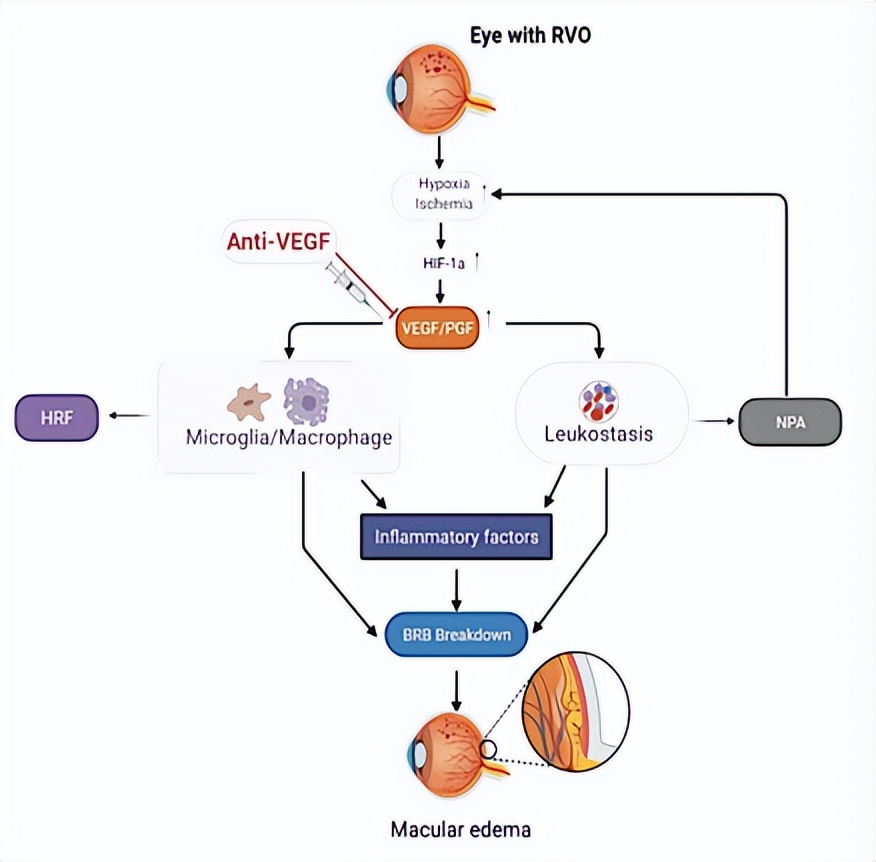 中国之声解克锋,中国之声抗疫情小贴士