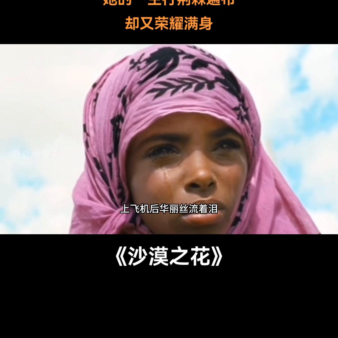 央视推荐四部励志纪录片,小学生看的励志电影纪录片