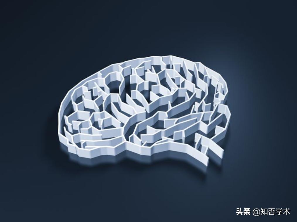 大脑欺骗实验,大脑欺骗视觉还是视觉欺骗大脑