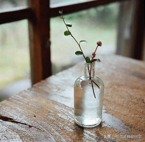 付出不亚于任何人的努力什么意思,付出不亚于任何人努力案例