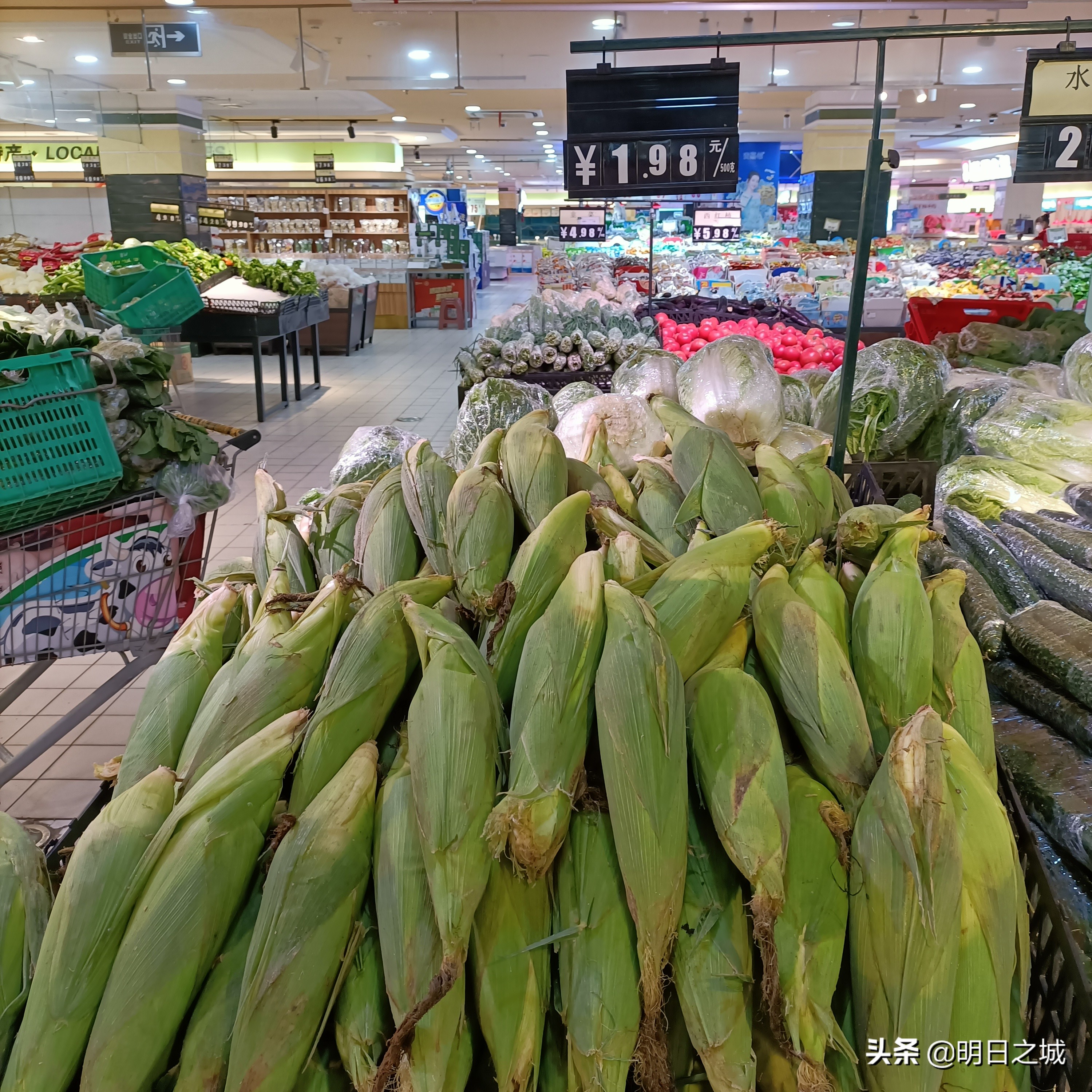 鐤儏鏈熼棿闀挎槬鑿滀环,闀挎槬鐤儏鑿滀环