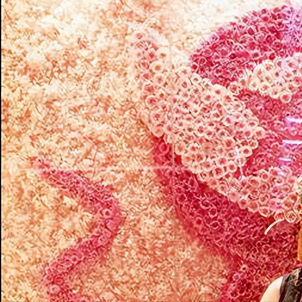 季季红火锅都有哪些,季季红火锅的优势