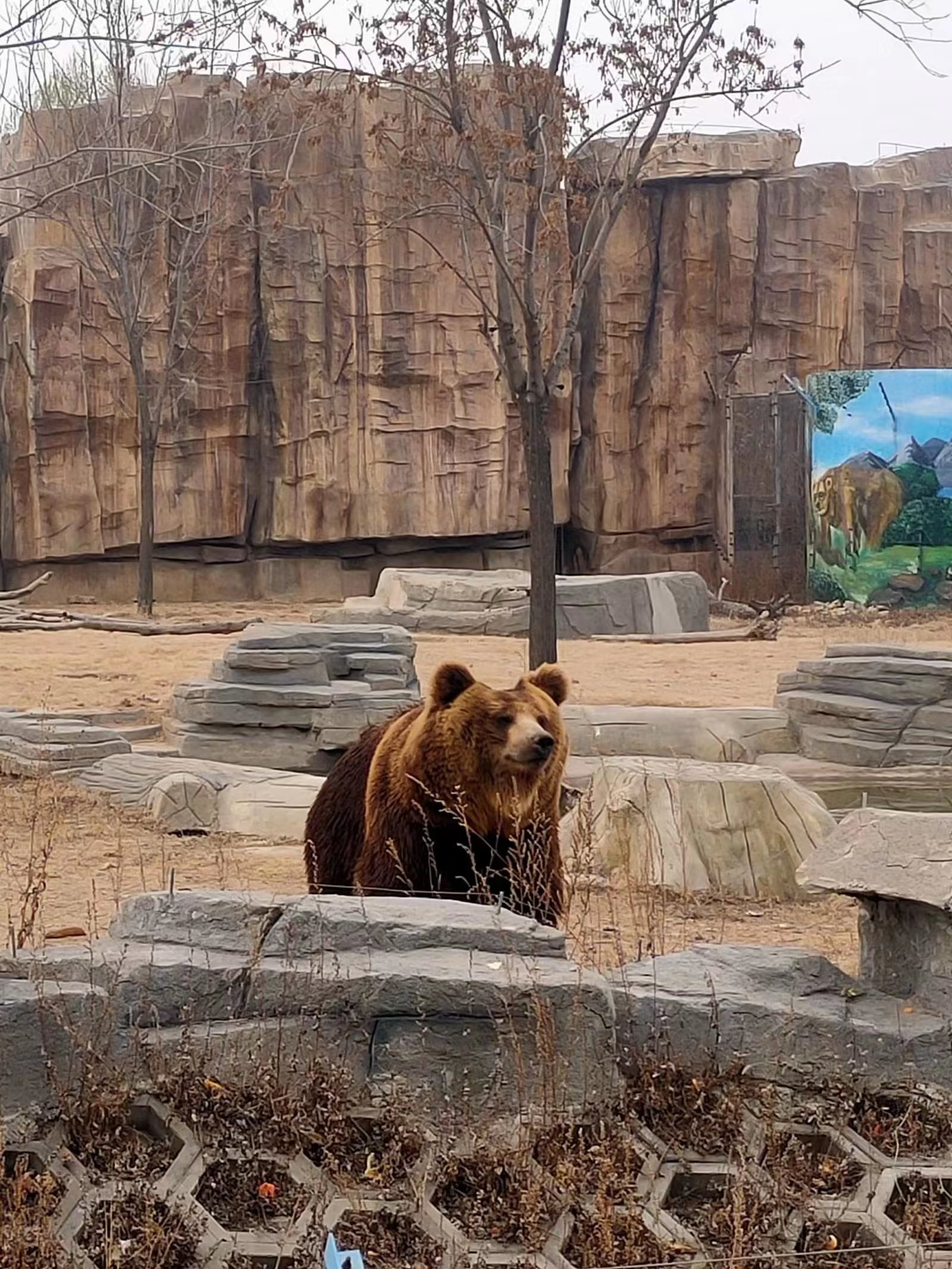 唐山重点暖企惠民政策,唐山惠民中心