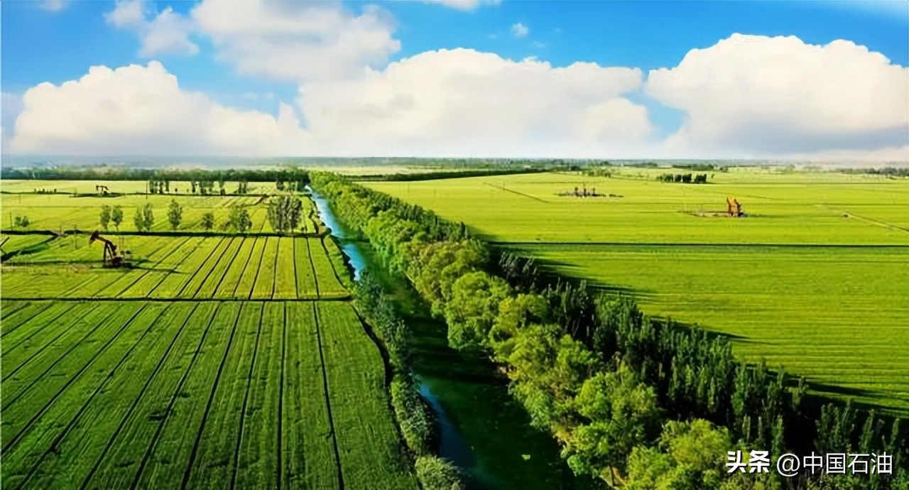 你好!我叫华北油田,这是我的新名片